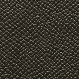 ws_black